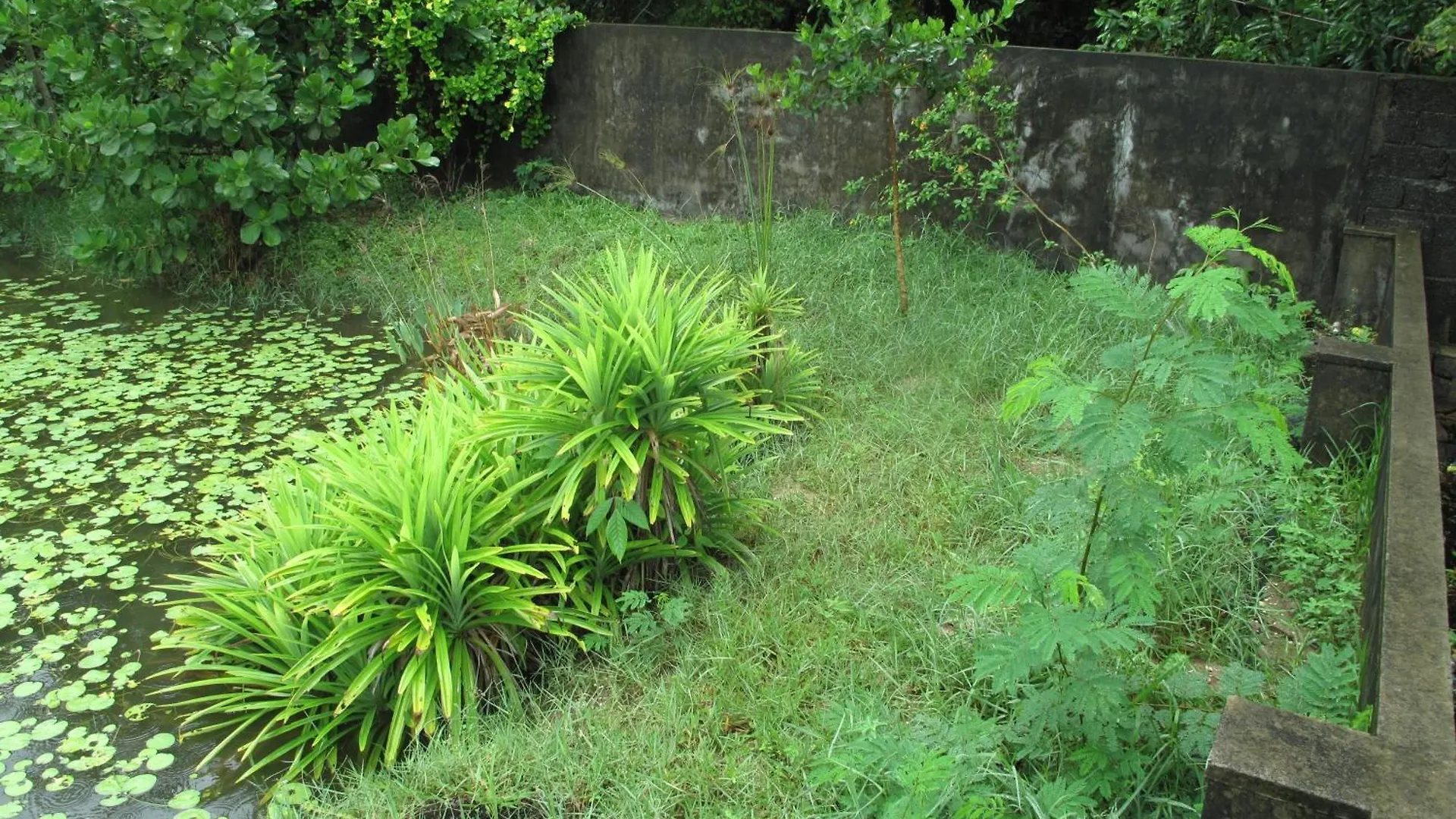 Hibiscus Earth - A Cgh Earth Saha Experience Villa Alappuzha