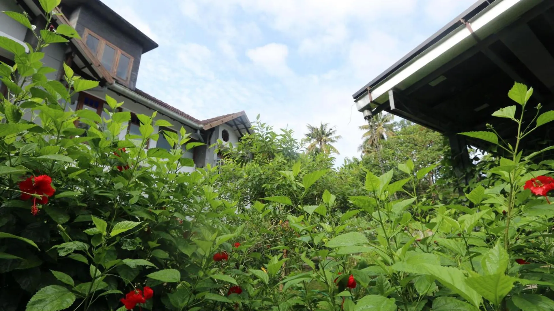 Hibiscus Earth - A Cgh Earth Saha Experience Villa Alappuzha
