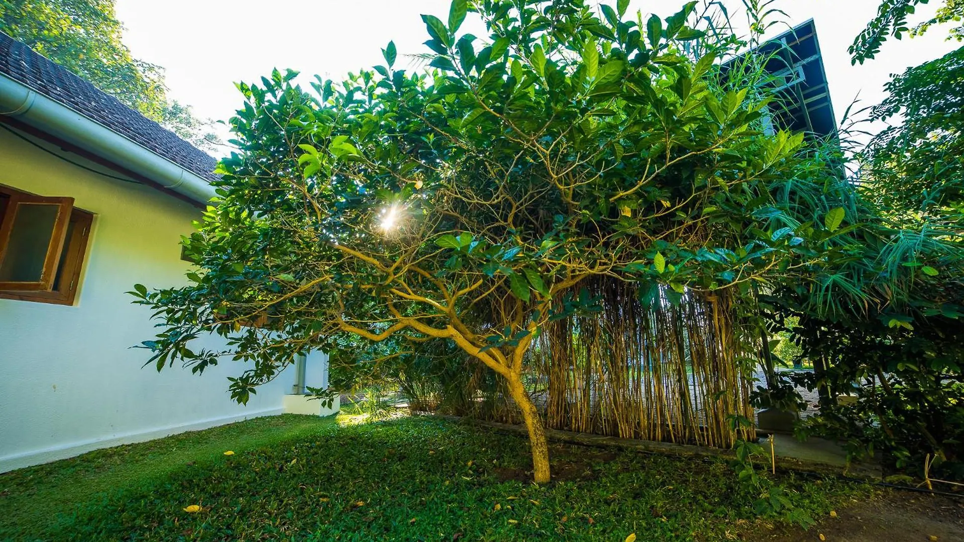 Hibiscus Earth - A Cgh Earth Saha Experience Villa Alappuzha 0*,